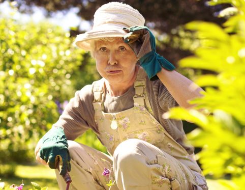 avoiding heat exhaustion in the elderly