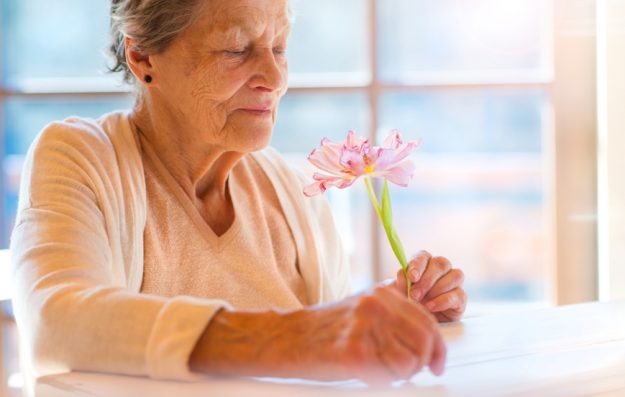 aging alone plan for elder orphans