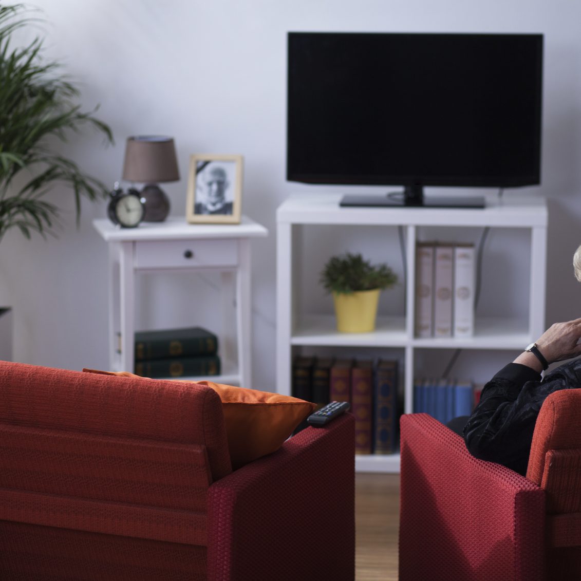 loneliness in the elderly