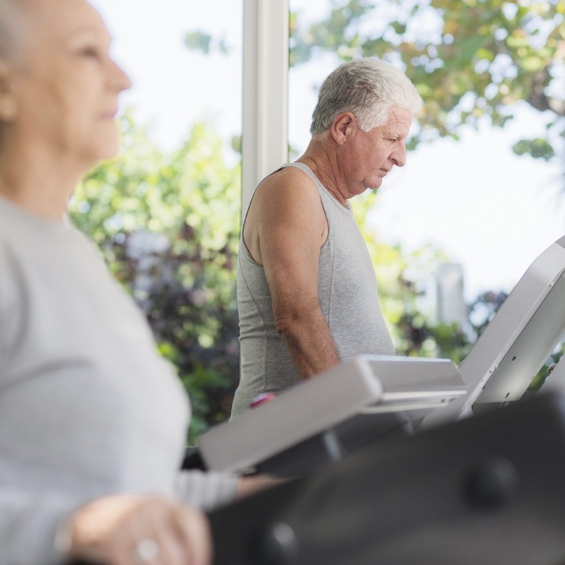 reversing mild cognitive impairment with exercise