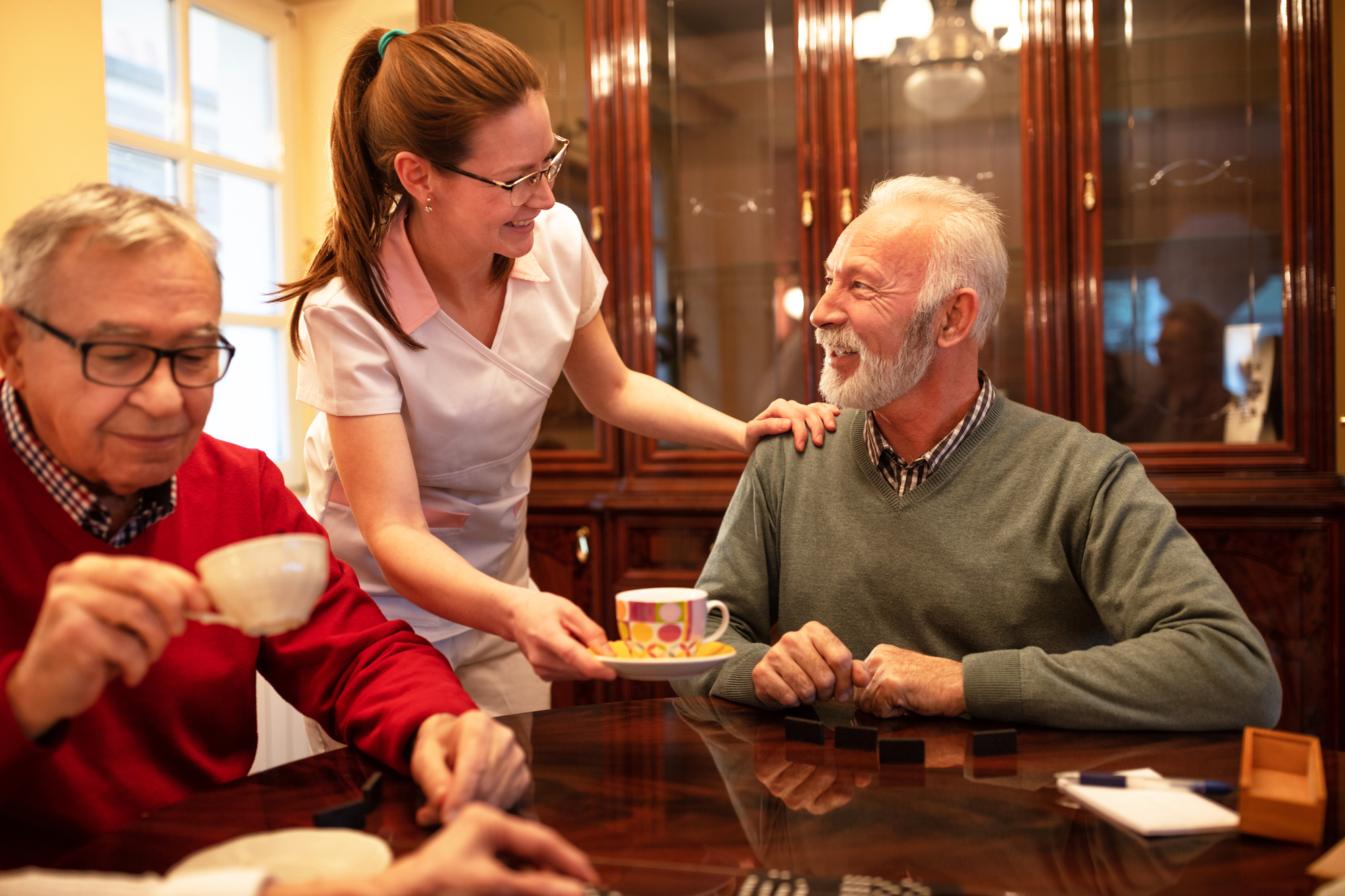 checklists for companion care for seniors over the holidays