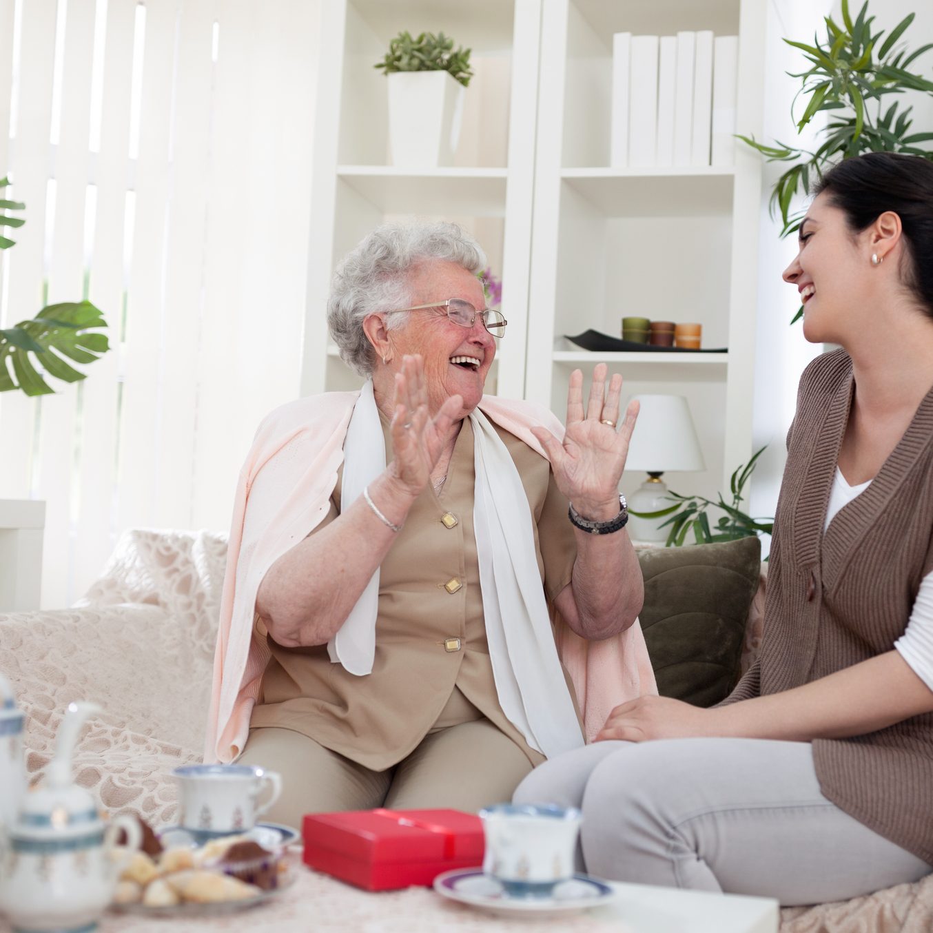 Stories to remember companion care over the holidays