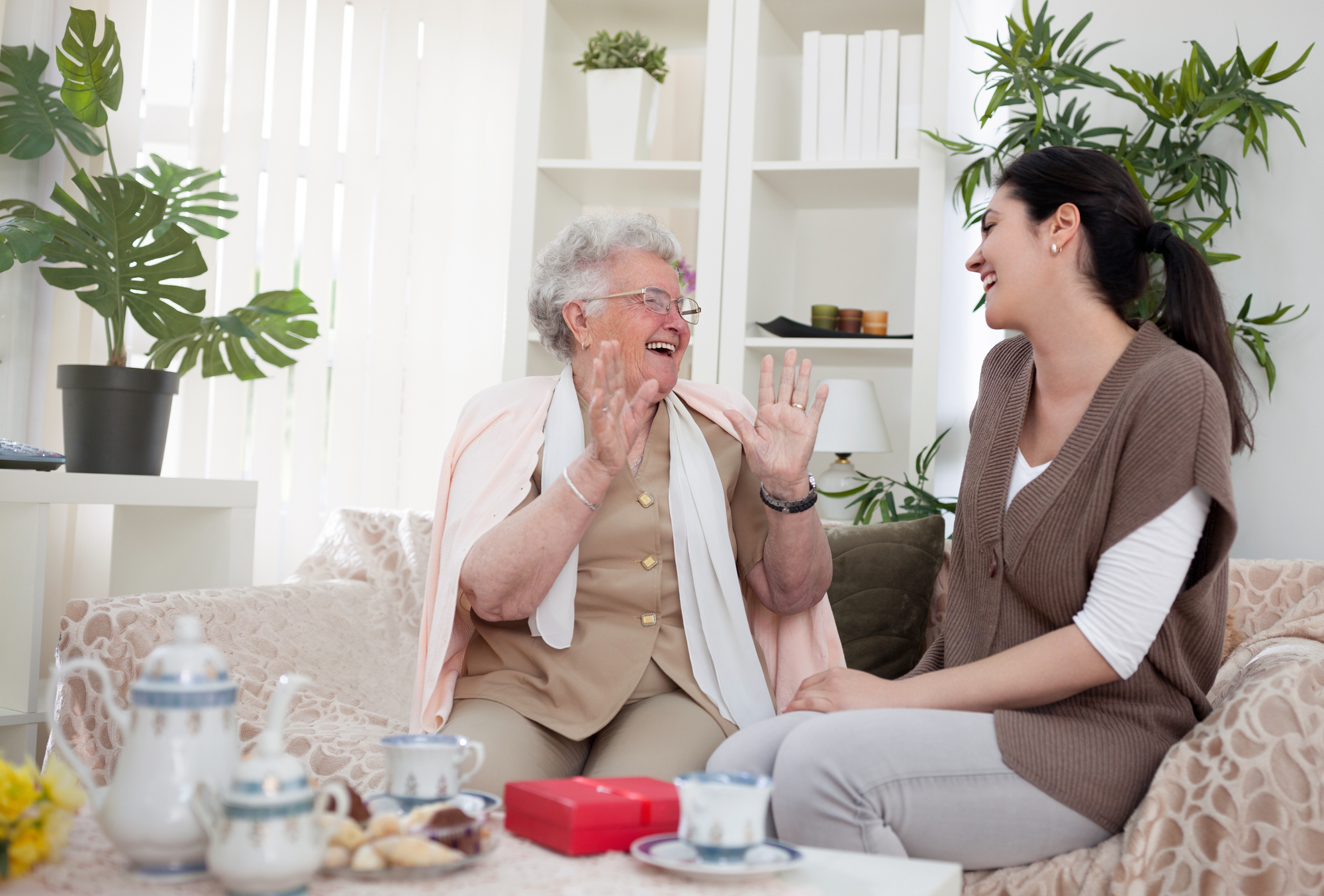 Stories to remember companion care over the holidays